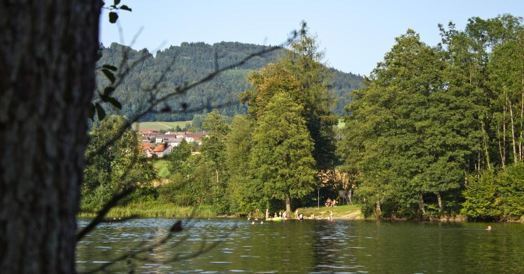 Hotel Der Seehof 豪岑堡 外观 照片